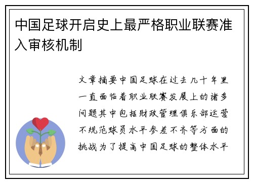 中国足球开启史上最严格职业联赛准入审核机制